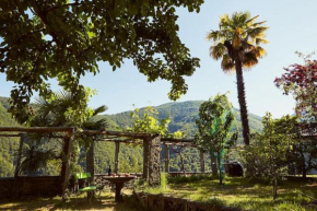 Wild Valley Village Life Apartment in Onsernone